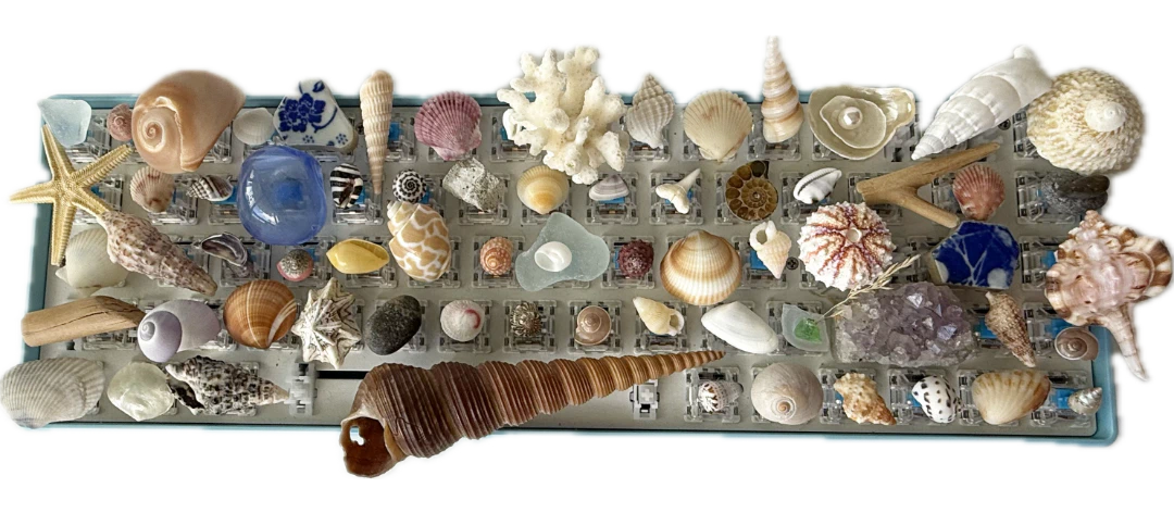Computer keyboard with sea shells as key caps